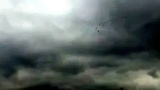 Охота на гуся 2017 разведка