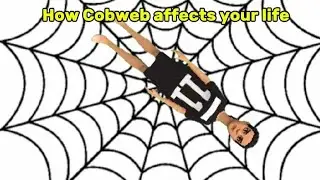 How Cobweb Affects Your Life