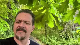 Forest Hill Park - Fifeville Virginia