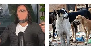 [YTP] Russell Brand Asks Who Let The Dogs Out?