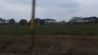 #nature #naturelover  #pvskplantation #all #viral #viralshort #views #indiarailways(2)