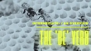 The 'be' Verb (an overview) A2 B1 B2