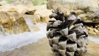 The nature of the waterfall of singing |Nagari|Totayal|Apna Maira