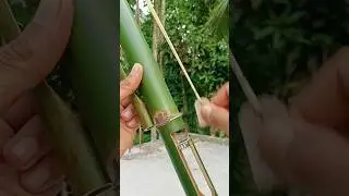 Bamboo Creations With Mojo Bottle 