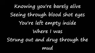 Falling in Reverse - Caught Like a Fly (Lyrics)