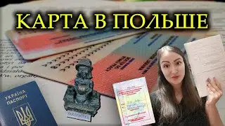 Карта Побыту Для Ребенка в ПОЛЬШЕ 2021