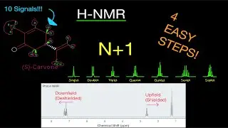 Organic Chemistry: H-NMR (Hydrogen/Proton Nuclear Magnetic Resonance) WALKTHROUGH 4 EASY STEPS!