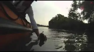 clip 2011 internet.avi