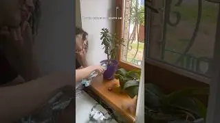 Заказчик не отвечает