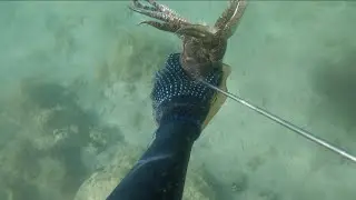 sea adventure, catching fish, squid and scallops