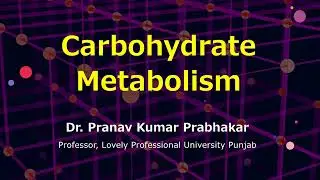 Basics of Carbohydrate