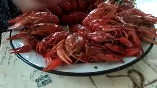 Как вкусно сварить Раков!!!/ Супер рецепт