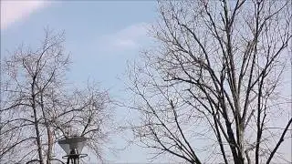 руссские витязи в гостях у ростовчан