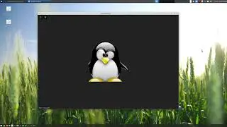 Zoom Not Working Correctly In Linux..???  Go Old Skool..!!