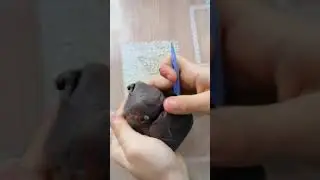 Динозавр Черепозавр из пластилина своими руками