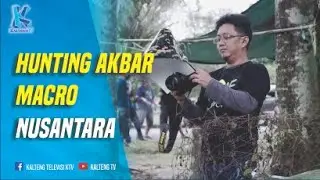 HUNTING AKBAR MACRO NUSANTARA