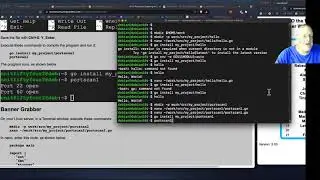 Port Scanning with Go