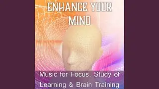 Help for Study Session (Calm Forest)