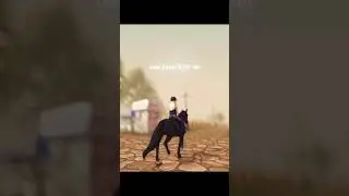 #ssoedit #starstableonlinehorses #horse #horsegame #starstableonlineedit #edit #starstablegame
