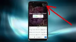 Как сделать опрос в Instagram Stories
