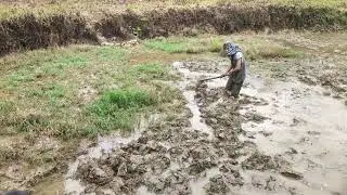 Toj siab channel