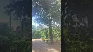 𝗖𝗵𝗶𝗻𝗰𝗵𝗼𝗹𝗶 𝗧𝗮𝗹𝗮𝘃 ( 𝗡𝗲𝗿𝘂𝗹) 🌴🌴🌴📍 #navimumbai #green #environment 🌴🌴🌴🌴 #maharashtra #videos #shortsvideo