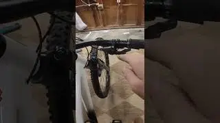 Teaching my dog to ride a bike!! #bikes #cycling #mountainbiking #mtb #dogshorts  #funny #chihuahua