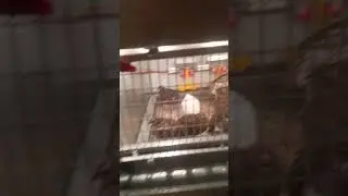 27 января 2021 г.