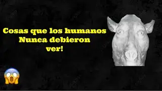 Cosas que los humanos nunca debieron ver  😱 Parte 104