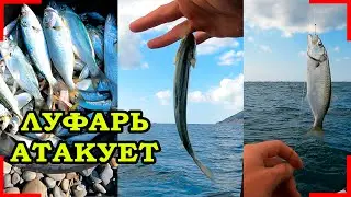 РЫБАЛКА НА ЛУФАРЯ  В ШТОРМ. РЫБАЛКА 2021