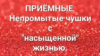 Дневник приёмной мамы/Обзор.