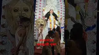 চন্দনগরের জগদ্ধাত্রী পূজা 