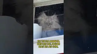 Quando eu jogo vôlei das 20 as 00h