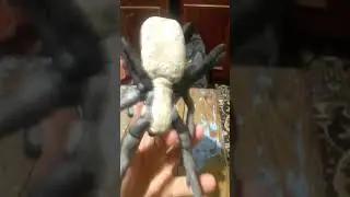 скибиди учёный из пластилина