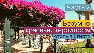 Часть 2. Отель Charmillion Club Resort 5*, Египет, Шарм-Эль-Шейх / обзор отеля: территория, пляж