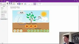 Plant Nutrients