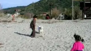 Ascea Marina, Salerno Province, Italy | kids & dog playing at the beach