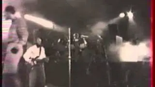 Звуки Му - Муха (клип)