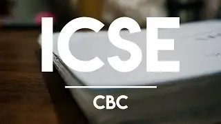 CBC: Mi experiencia cursando Sociedad y Estado | FTF