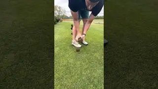 Minecraft Block Lawn Repair