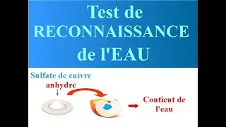 TEST de RECONNAISSANCE de l'EAU | CHIMIE - 6 ème et 5 ème.