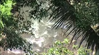 Bali-Fernweh Teil 1