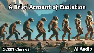 A Brief Account of Evolution