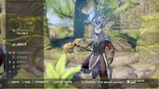 Teso online