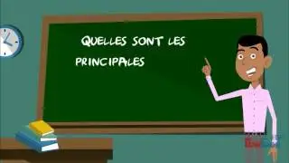 Les différents types d'entreprise