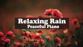 ♫ Relaxing Rain and Paceful Piano 🌧️