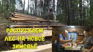 СУПЕР ПИЛОРАМА В ТАЙГЕ//СТРОИМ ЗИМОВЬЁ С 