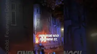 Verbot durch Feuerwehr? ⛔️🚒 #feuerwehr #verbot #einsatz