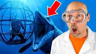 Strangest Things Ever Found