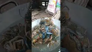 Simpleng Ulam Sa Probinsya #Shorts #cooking #buhayprobinsya #crab